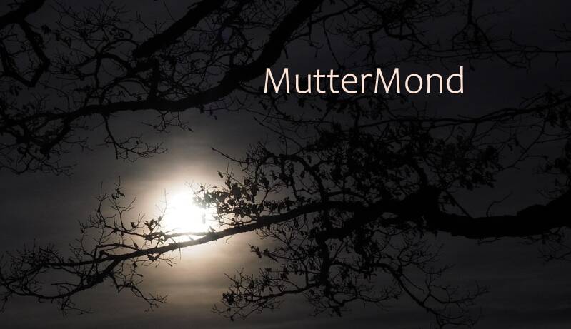 Nachtaufnahme durch die kahlen Äste eines Baumes auf den Vollmond im Nebel. Dazu ein poesietherapeutischer Aphorismus von Degriesch.