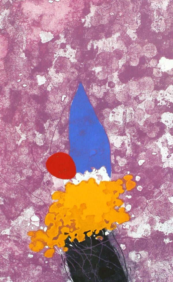 Macetas | Duck Sung Kang