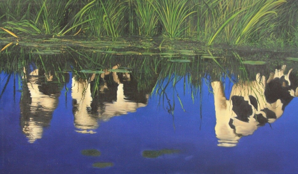 Spiegelende koe | Pat