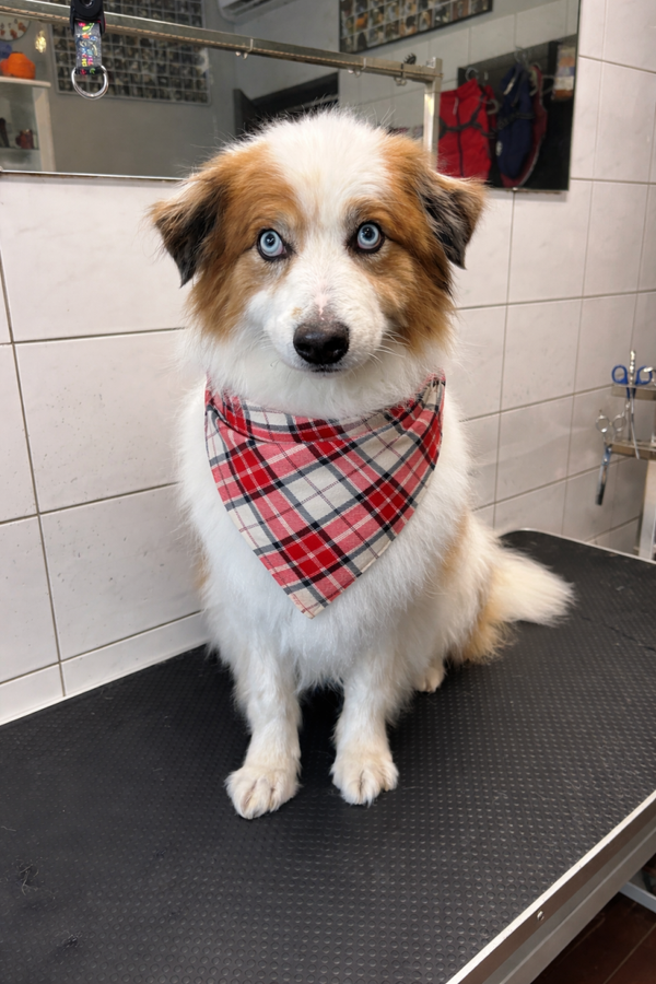 Bandana