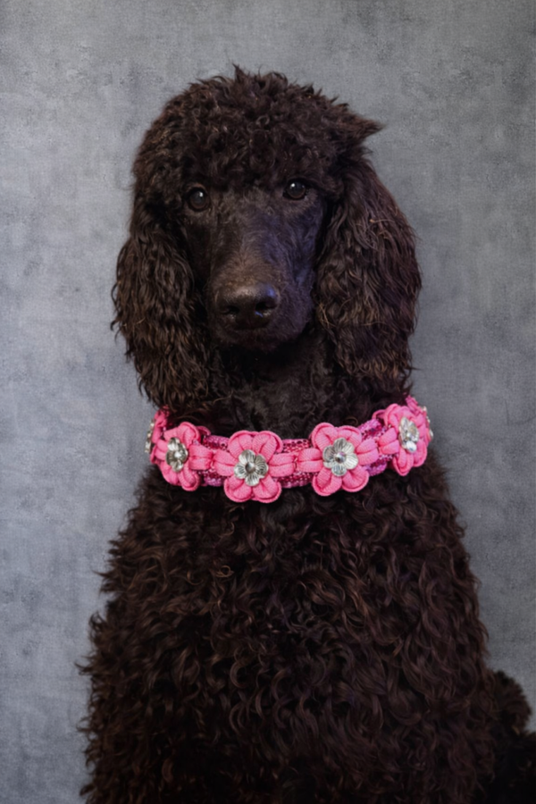 Paracord halsband roze bloem