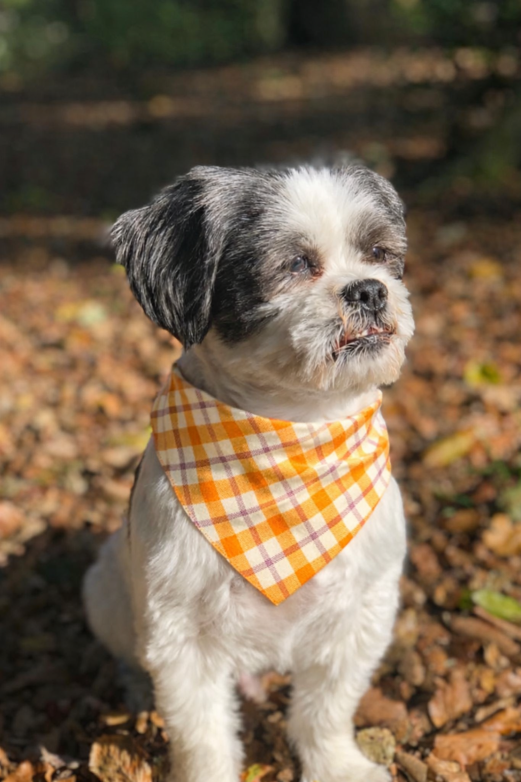 Bandana