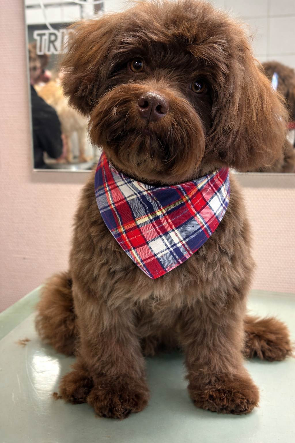 Bandana