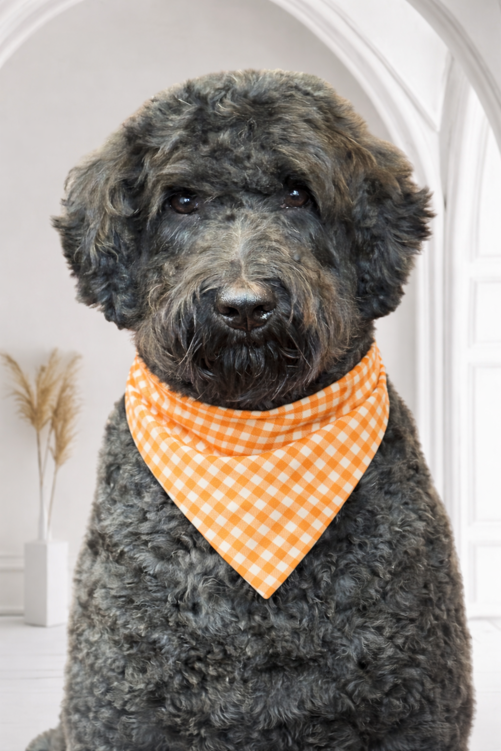 Bandana