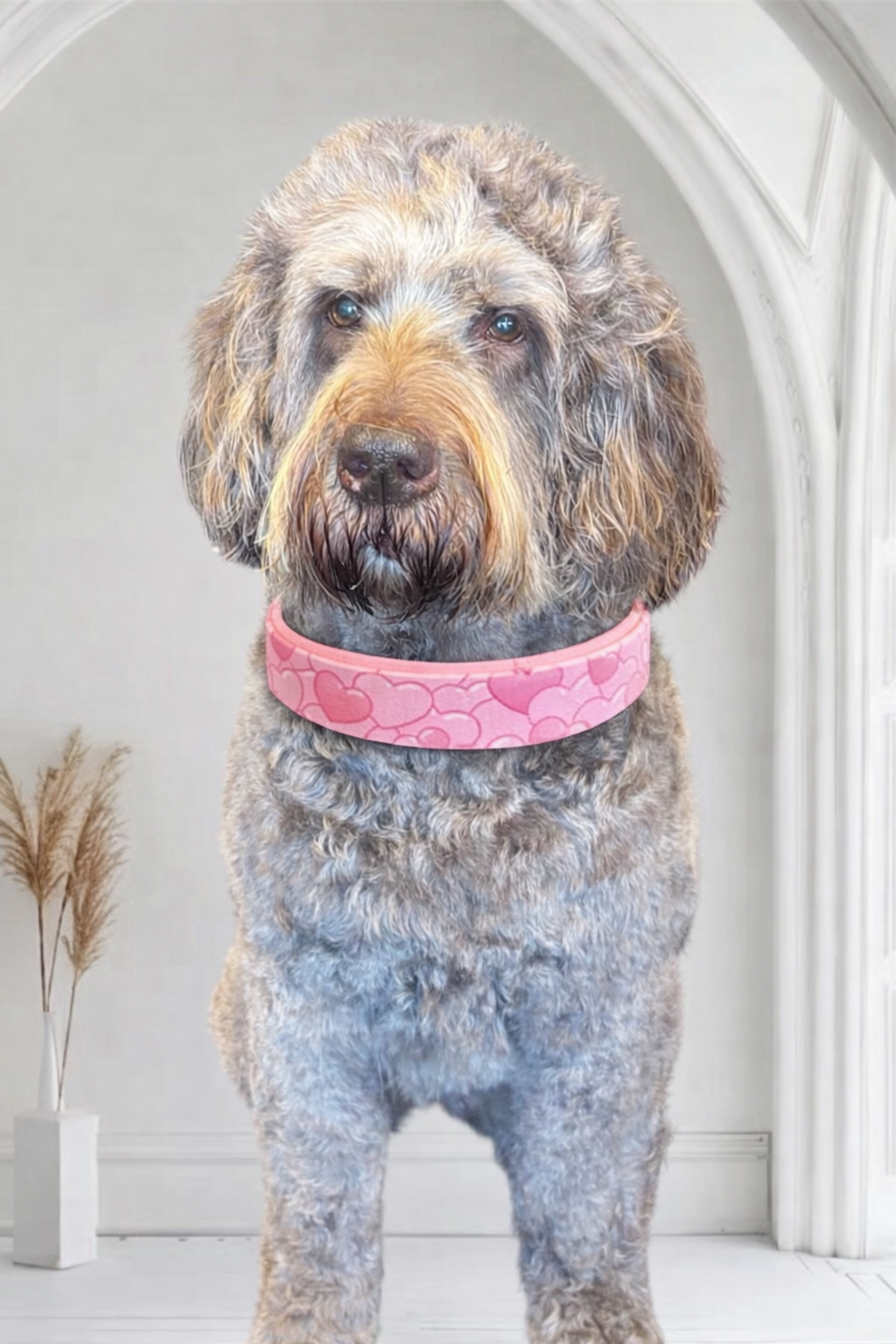 Halsband met hartjes