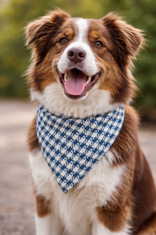 Bandana