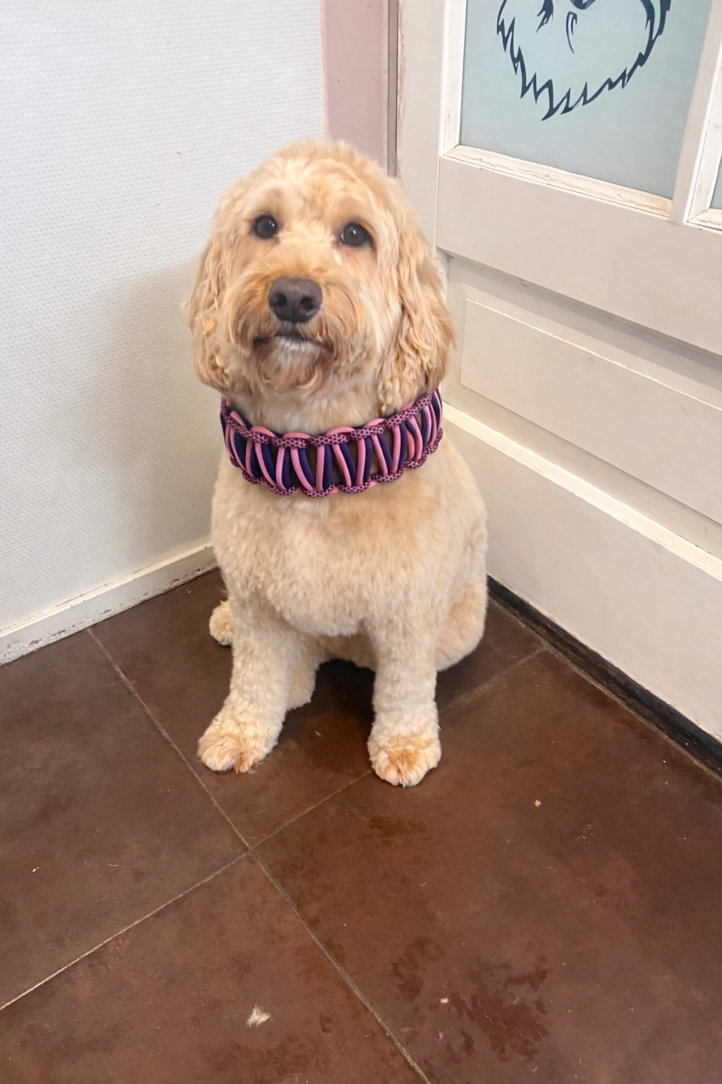 Halsband breed roze biothane met paars paracord