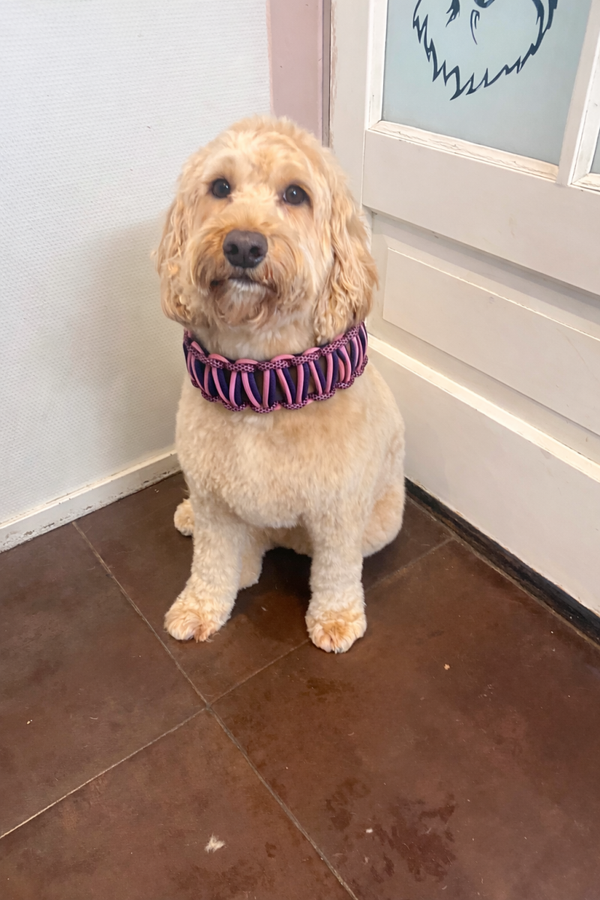 Halsband breed roze biothane met paars paracord