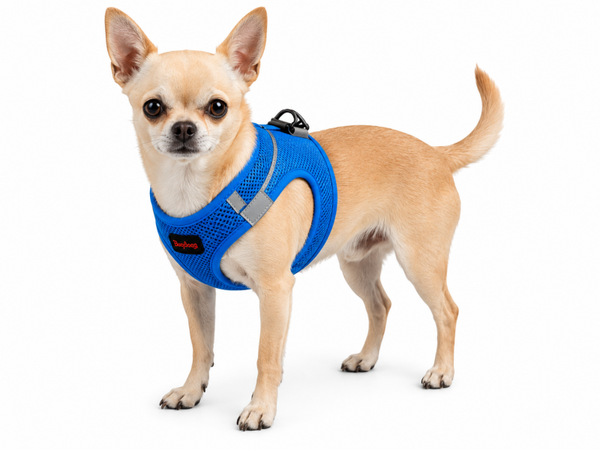 Tailpetz Air-Mesh tuigje maat XS