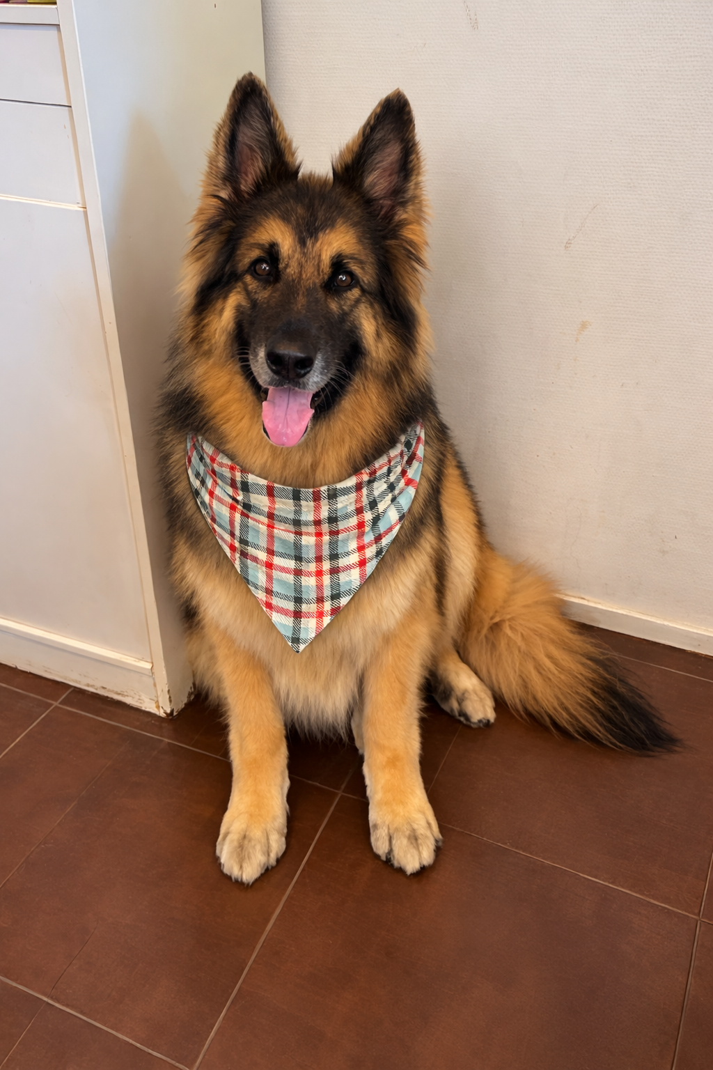 Bandana