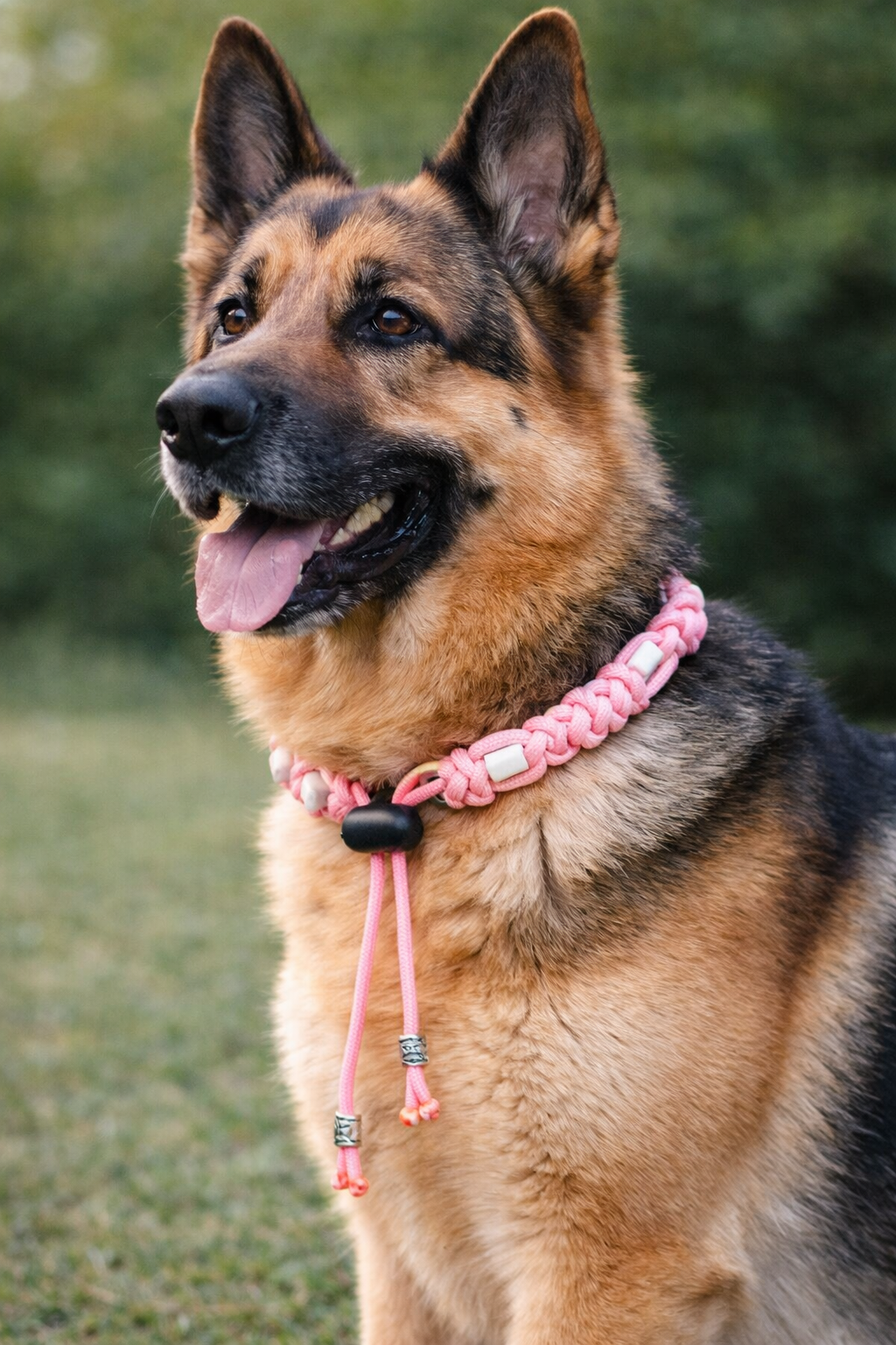 Anti tekeband van paracord kleur rose