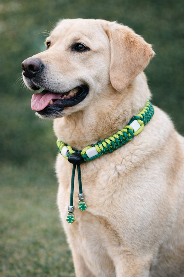 Anti teken halsband van paracord groen