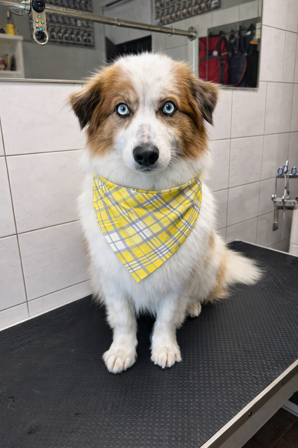 Bandana