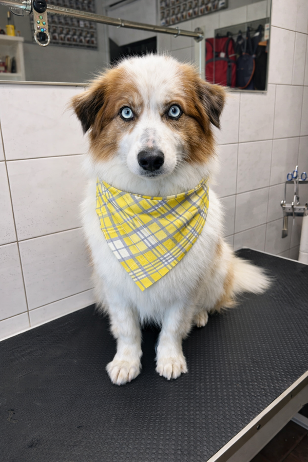 Bandana