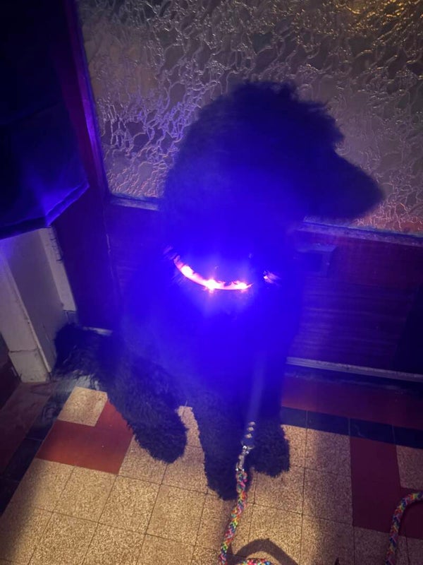 Verlichtingsslang