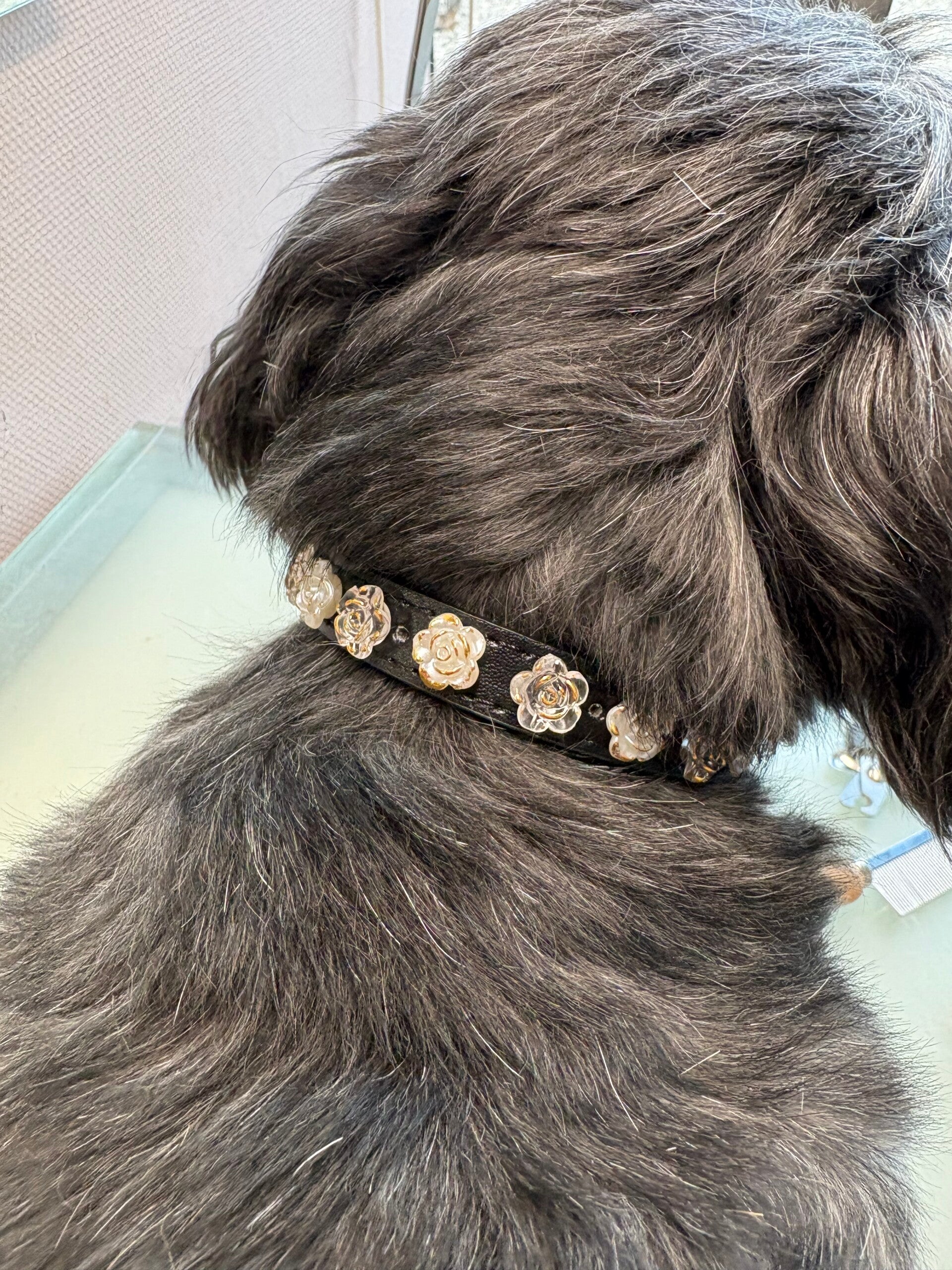 Zwart leren halsband met schitterende strass bloemensteentjes
