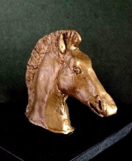 testadi cavallo 1972