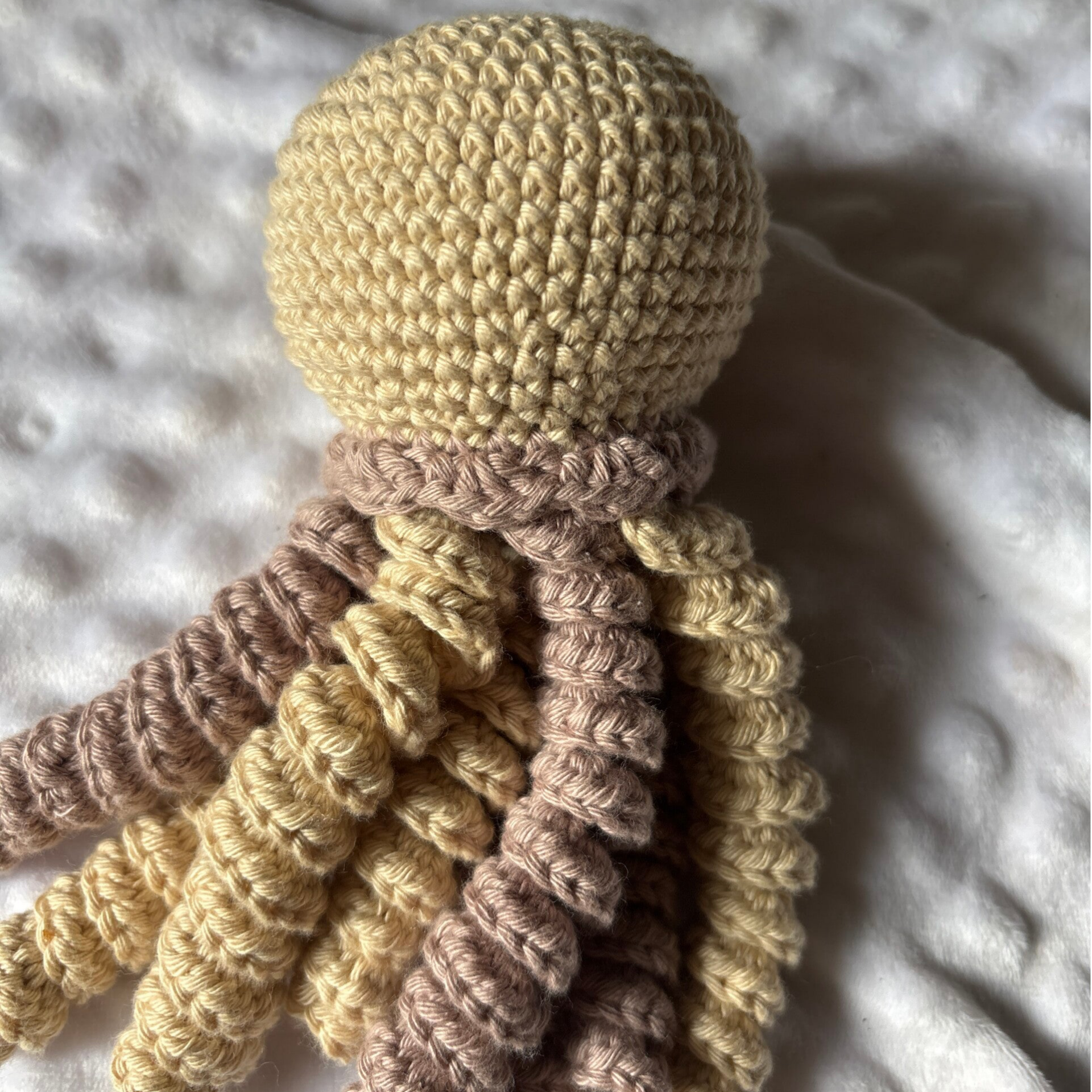 Pieuvre 18-20 - Cocoon en stock