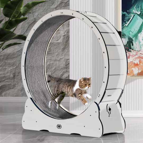 CanadianCat Company Kattenwiel Hout White Edition