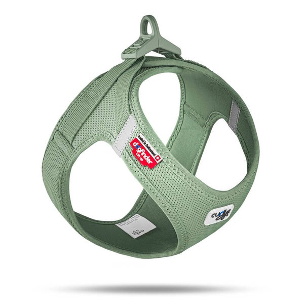 Curli Olive