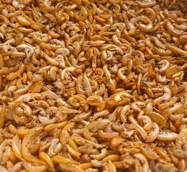 Gammarus | Gedroogde garnalen
