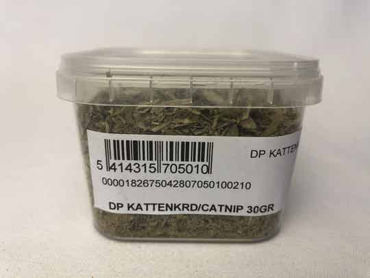Kattenkruid - Catnip