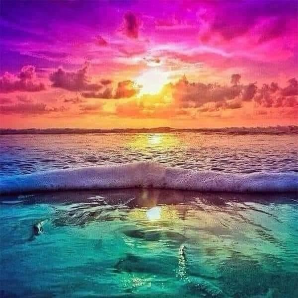 18 ounce Soap Dispensers