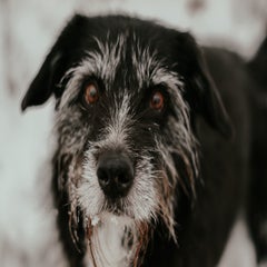 04dd258e-9164-4f02-905d-d8071f5dda4b.jpeg