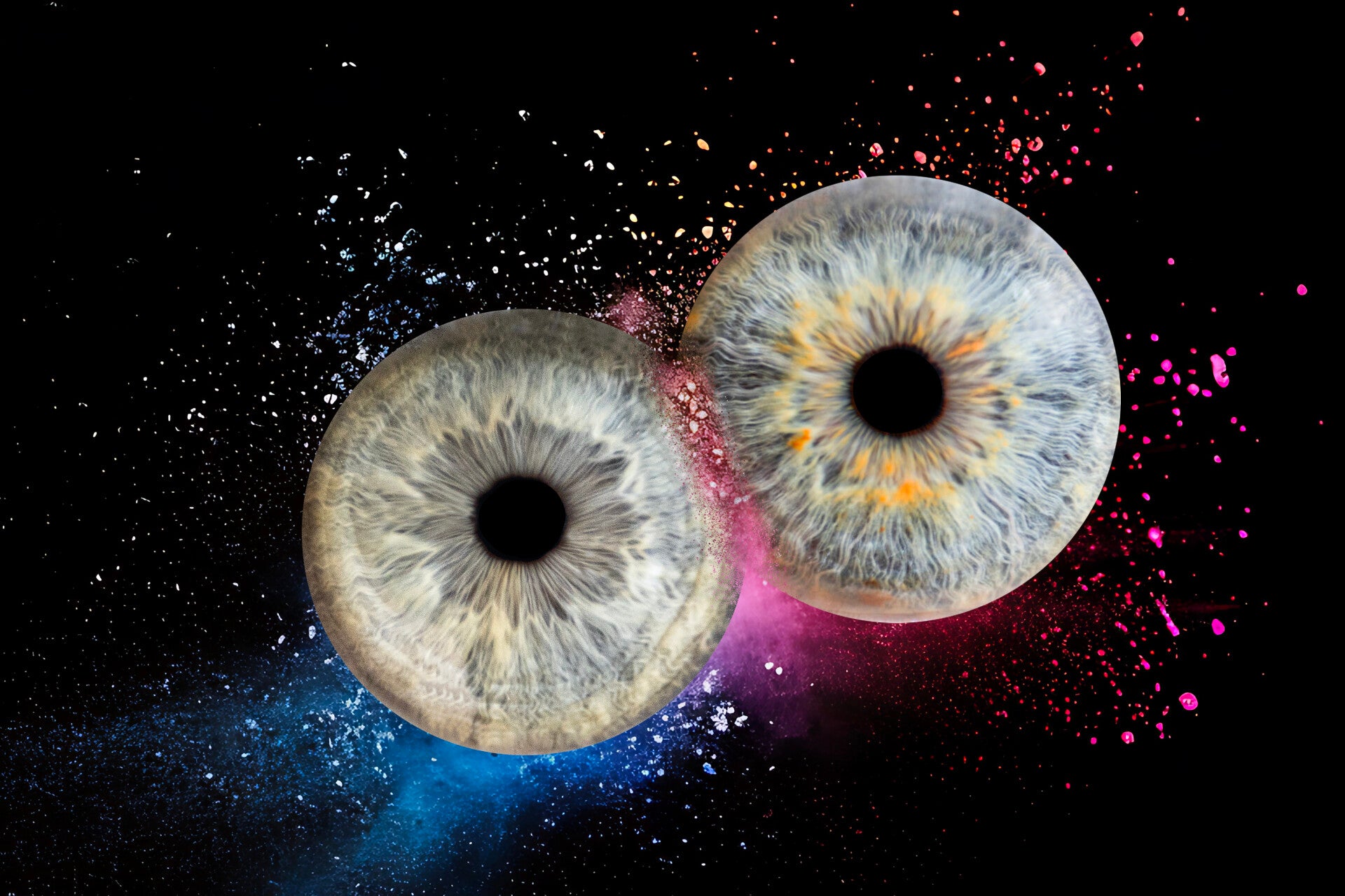 Montage d'iris : Photo artistique d'iris - Les photos de Gwen 