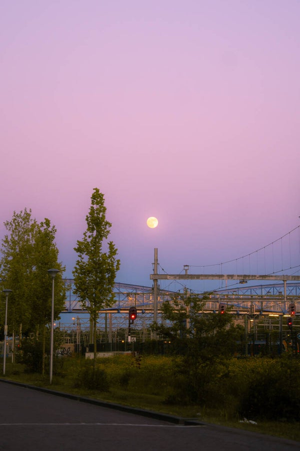 Lavender sky - with passe-partout