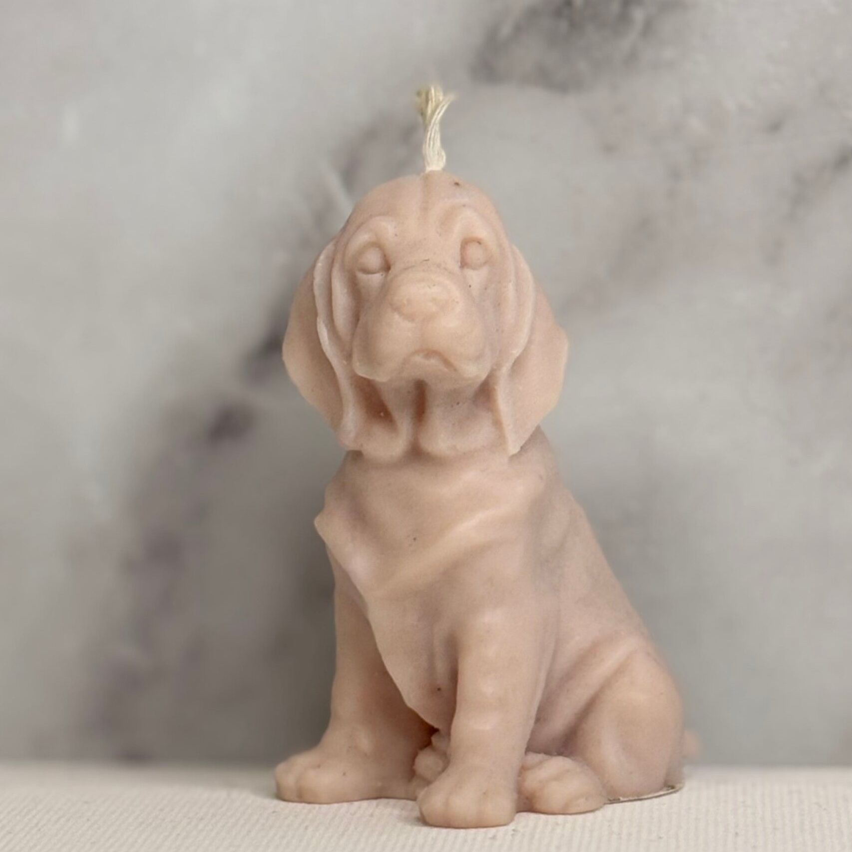 Puppy Whisper Candle