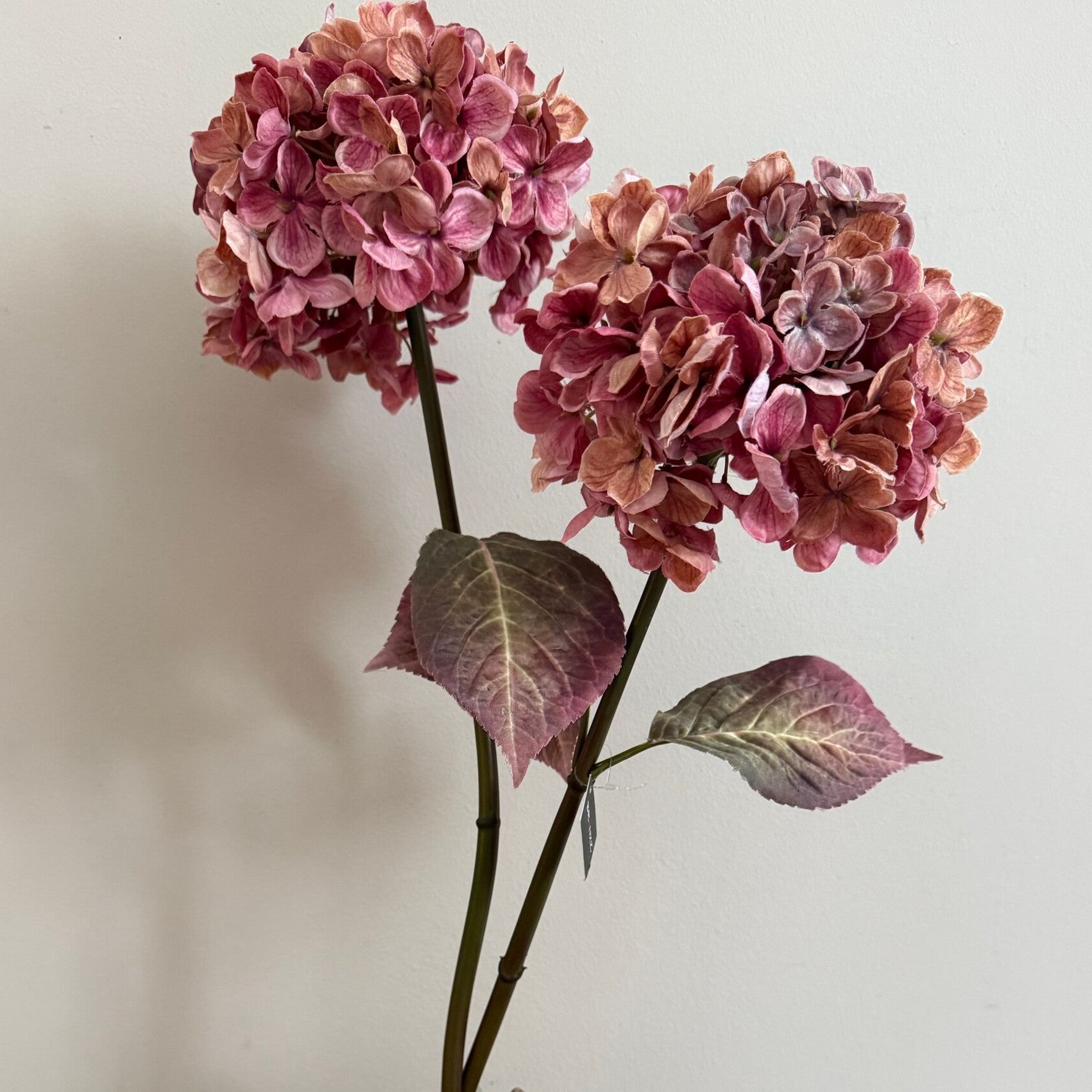Hydrangea pink 70 cm