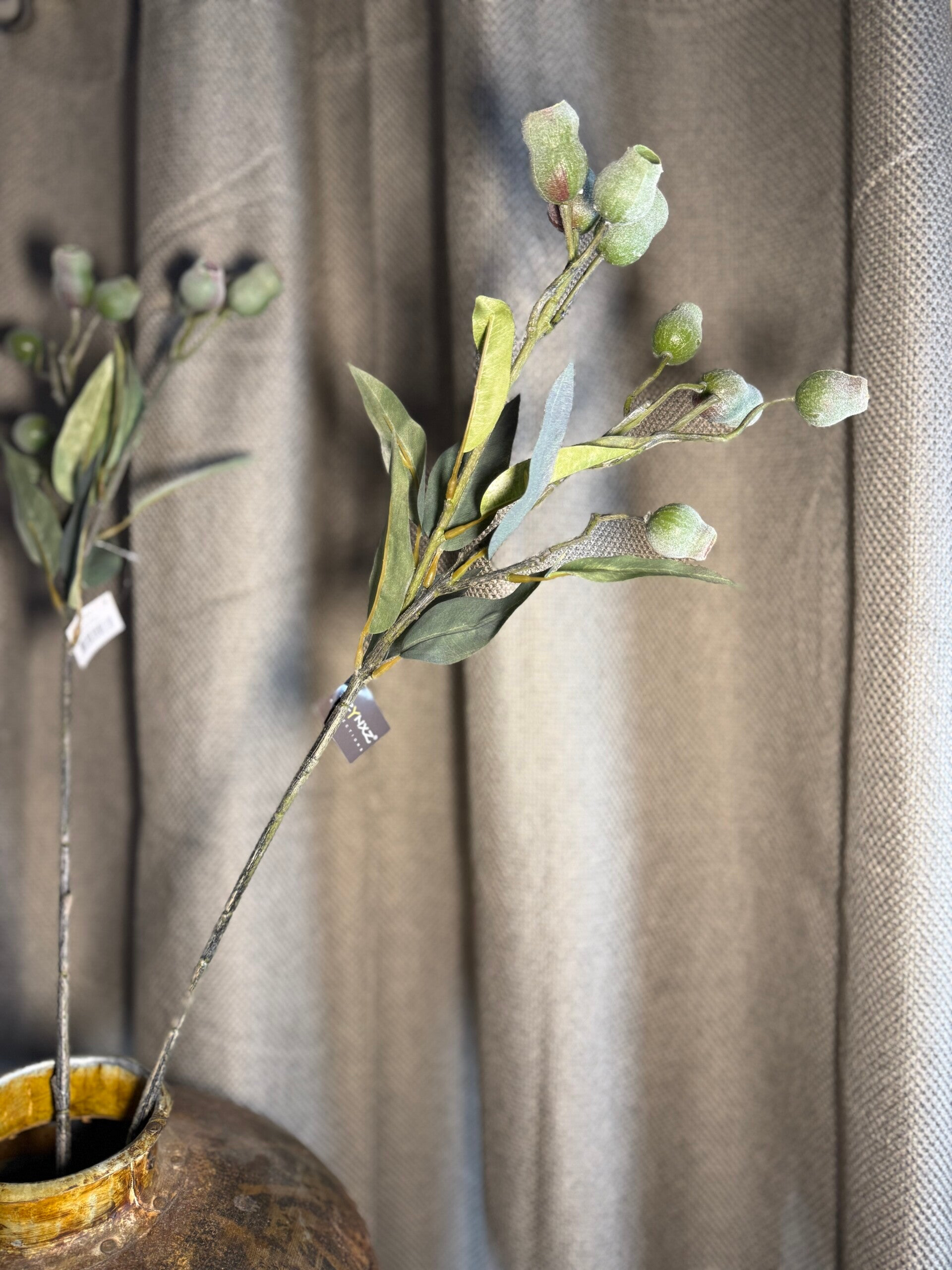 Mespulus fructus green purple