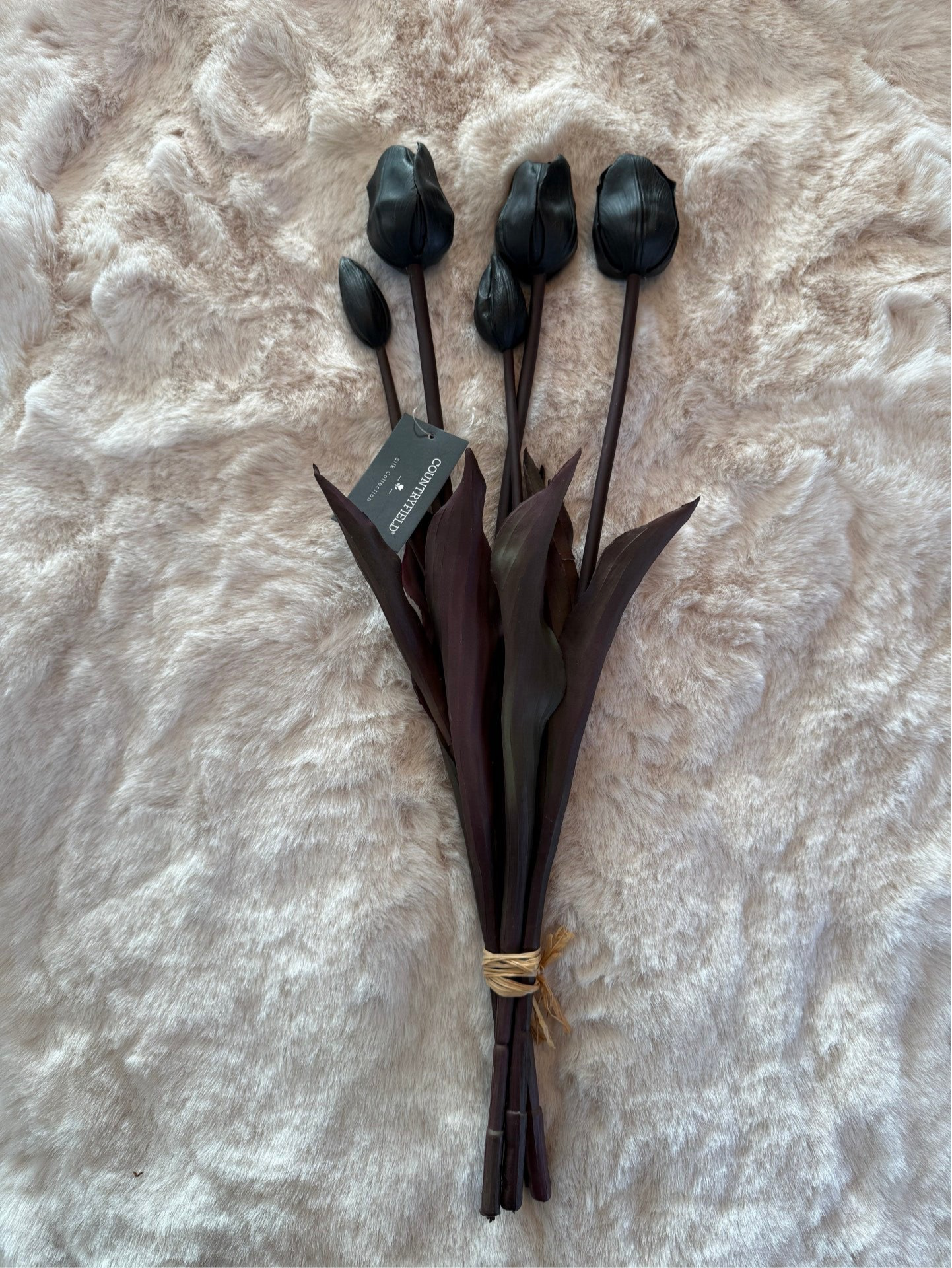 Tulipa zwart 5 tulpen