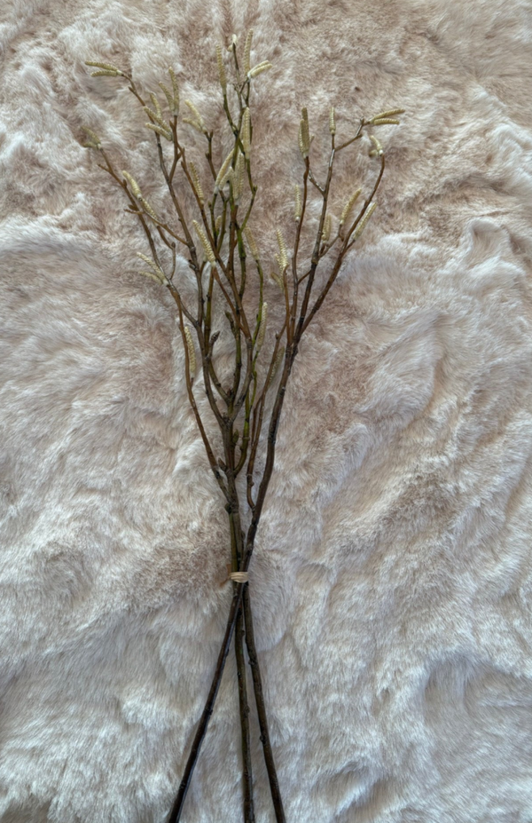 Salix  bosje-3 takken