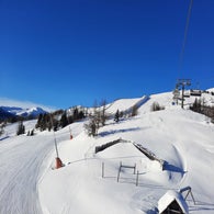 IMG_3397JPG.jpg