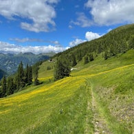 IMG_3416JPG.jpg