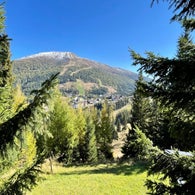 IMG_3404JPG.jpg