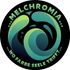 MelChromia - Wo Farbe Seele trifft