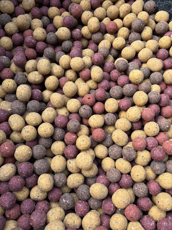 Voerboilies