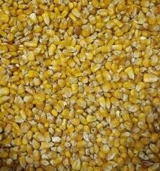 Gele mais droog