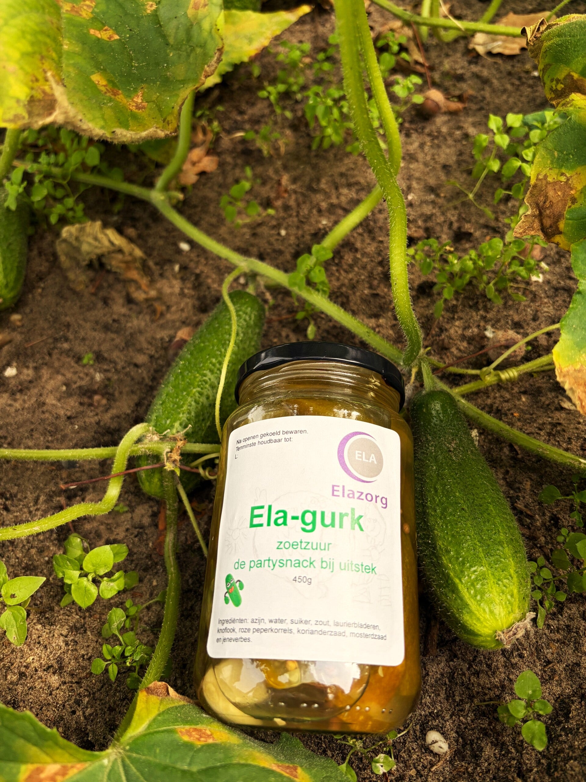 Augurken van Ela – Knapperig, Vers en Recht uit Eigen Tuin