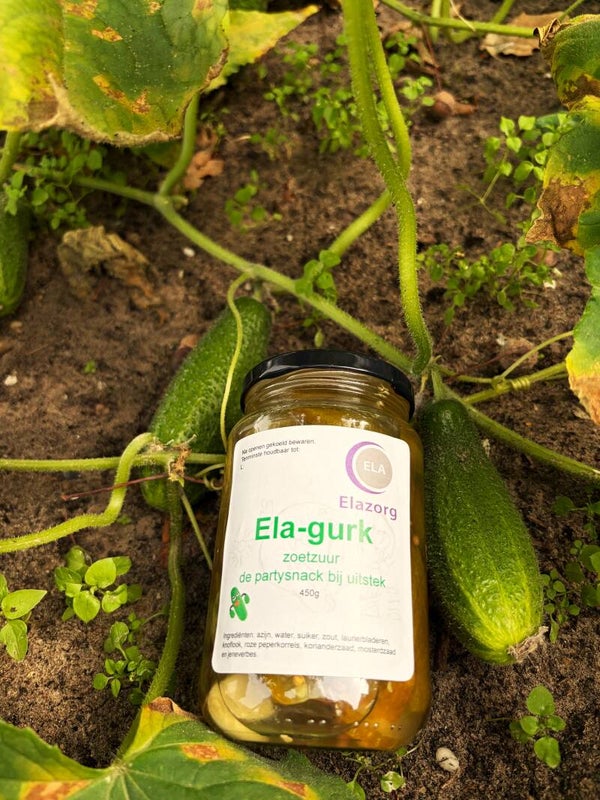 Augurken van Ela – Knapperig, Vers en Recht uit Eigen Tuin