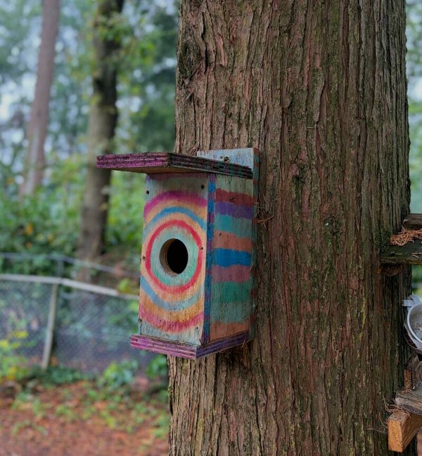 Eekhoornhuisje – Een Warm Plekje in de Tuin, Met Liefde Gemaakt