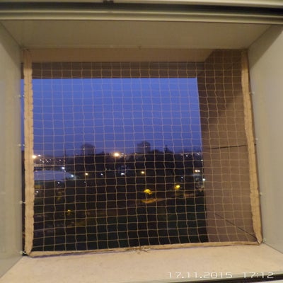 20151117_171207-standard.jpg