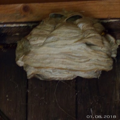 20180801_103557-standard.jpg