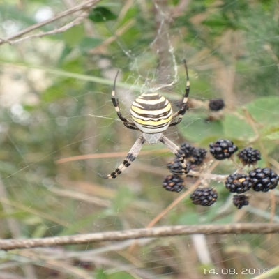20180814_111304-standard.jpg