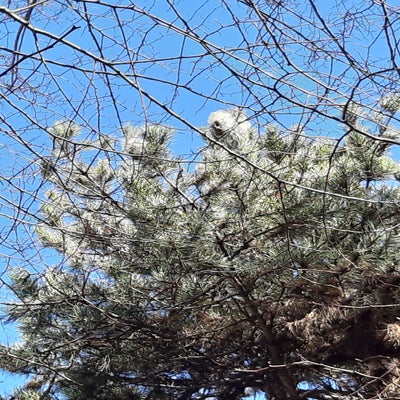 20190311_110943-standard.jpg