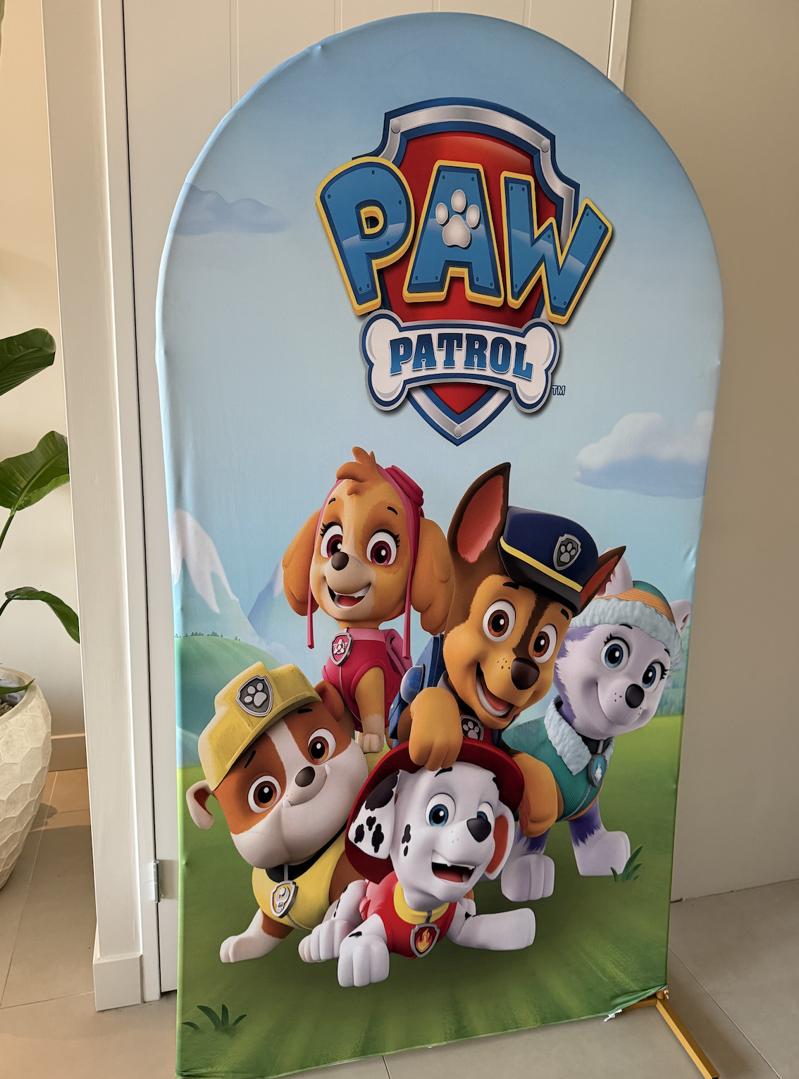 Paw patrol backdrop