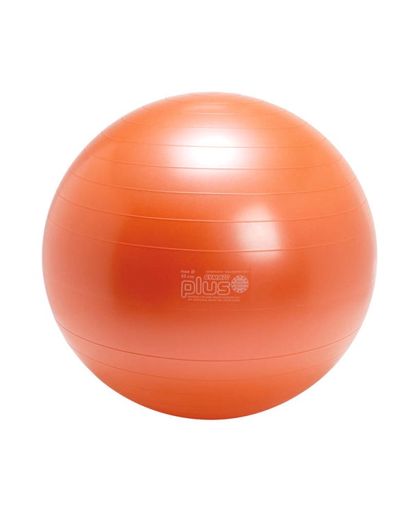 Retourgoed | Gymnic fitnessbal Plus 65 cm oranje